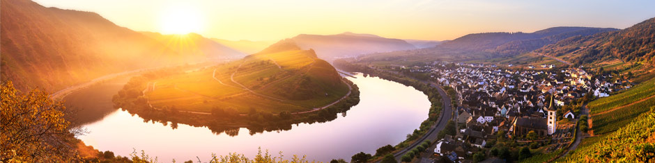 Wein aus Deutschland