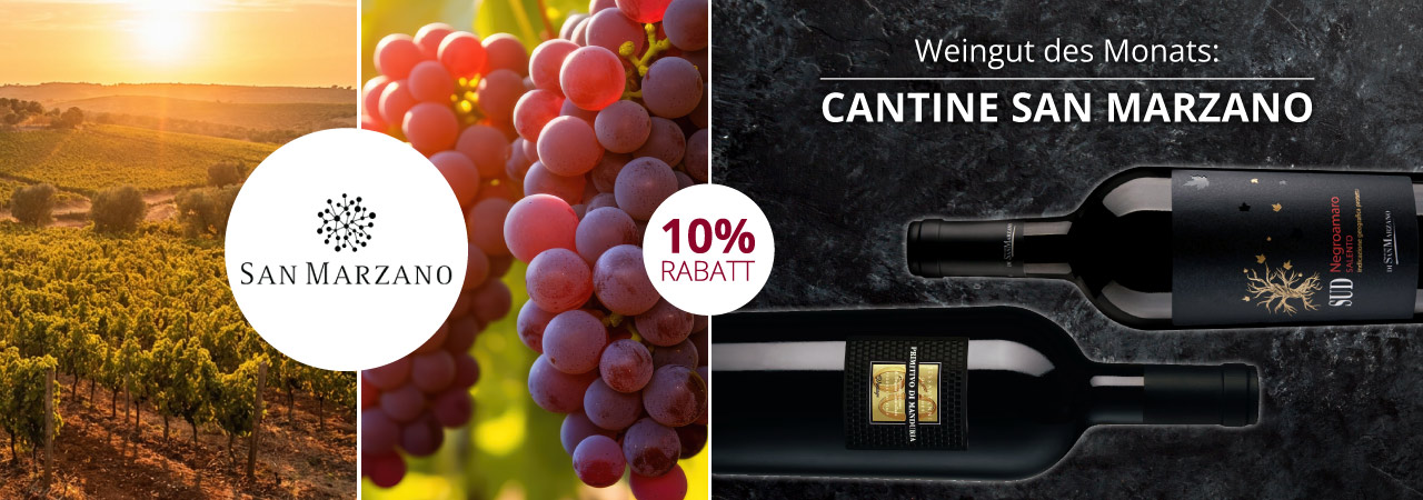 Weingut des Monats September