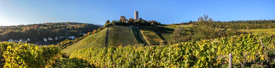 Wine of Rheingau