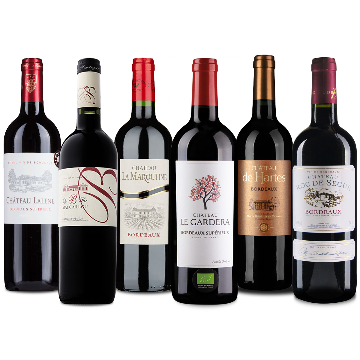 tasting pack of 6 entry-level Bordeaux