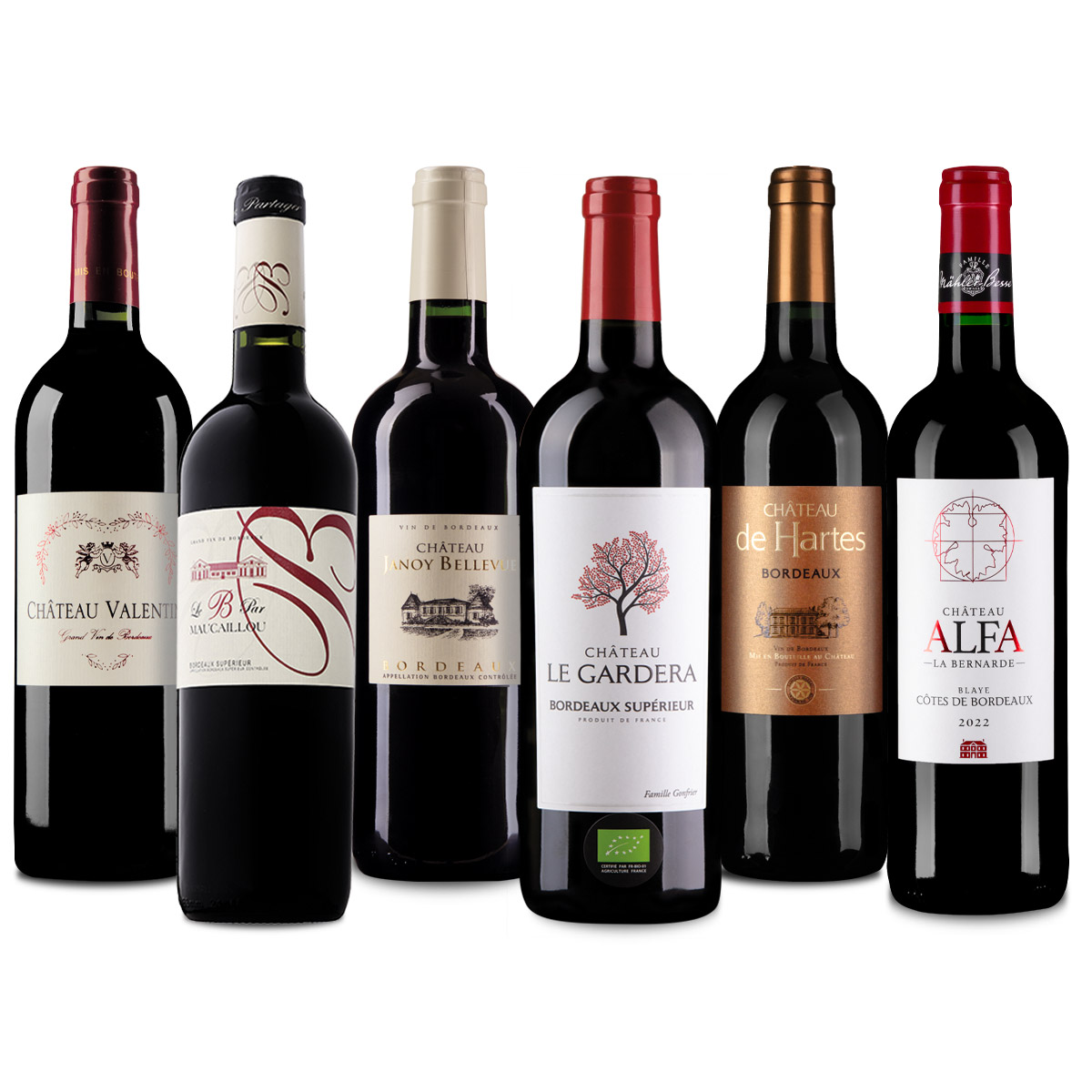 6-Bottle Bordeaux Starter Tasting Pack