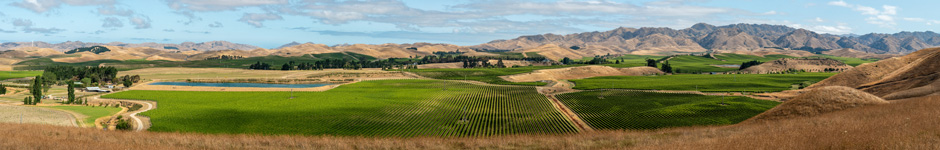 Saint Clair Family Estate