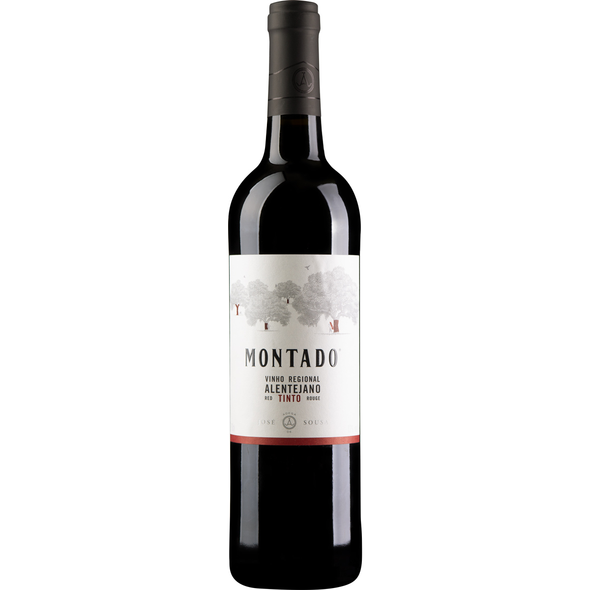 Montado VR