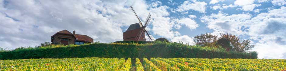 Wein aus der Champagne