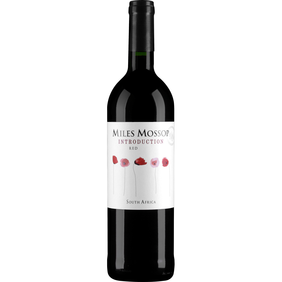 Miles Mossop Introduction Red