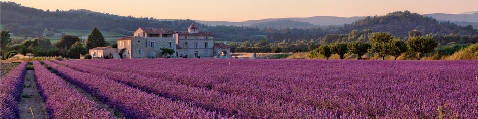 Wein aus der Provence