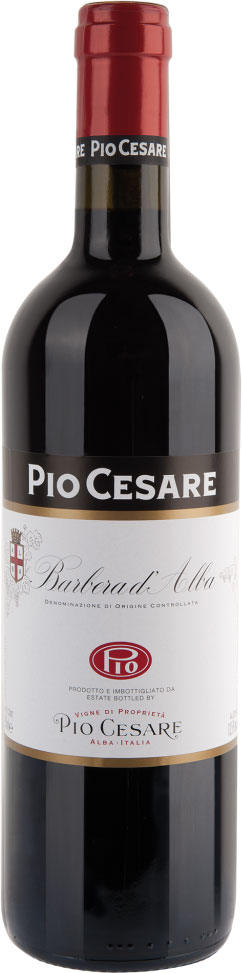 Pio Cesare Barbera d’Alba DOC