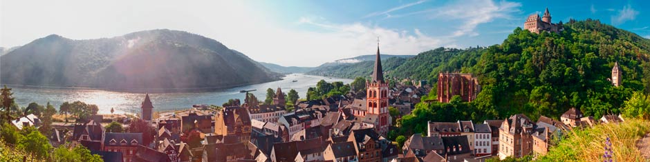 Wine of Palatinate (Pfalz)