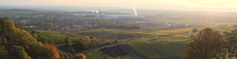 Weingut Ilmbacher Hof