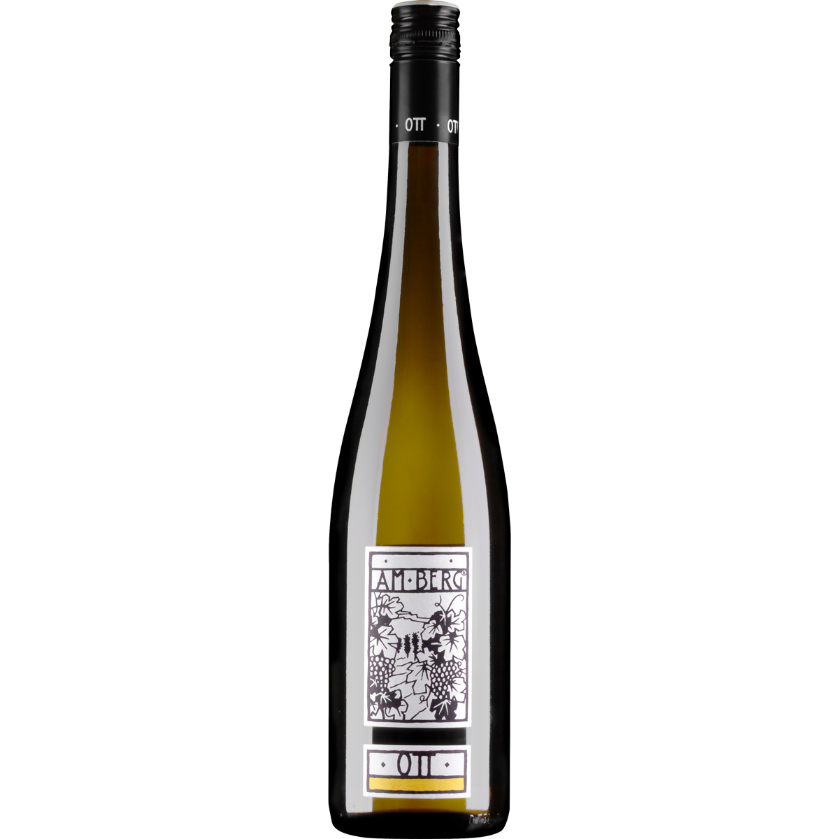 Bernhard Ott Grüner Veltliner Am Berg