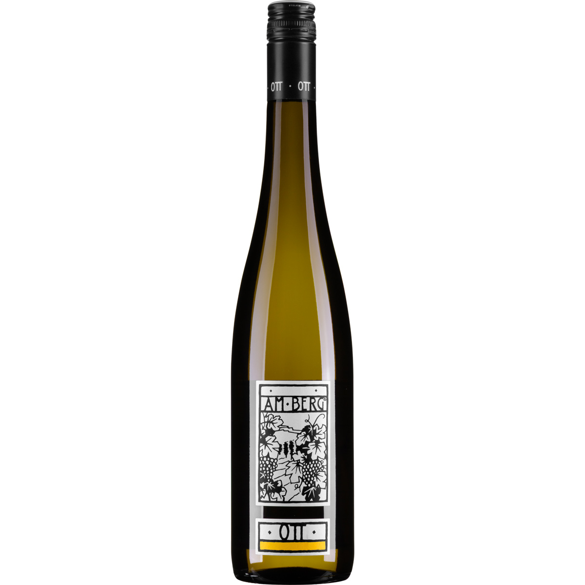 Bernhard Ott Grüner Veltliner Am Berg