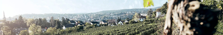 Weingut Hensel
