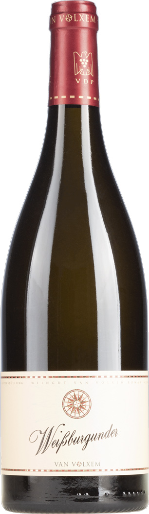 Van Volxem Weißburgunder Gutswein Barrique trocken